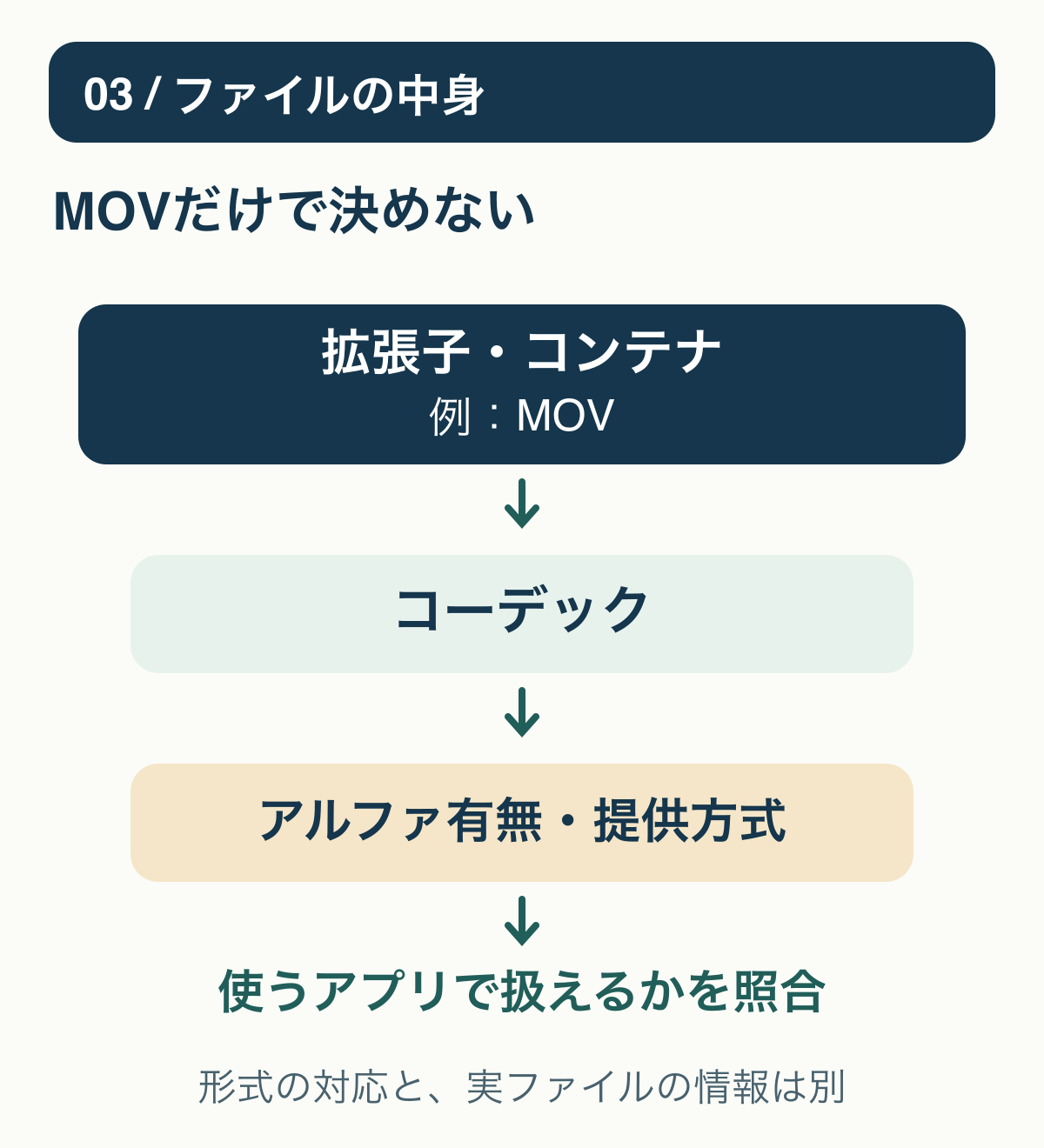 拡張子、コーデック、アルファの有無、使うアプリでの対応を順に確認する。MOVだけでは透過を保証しない。